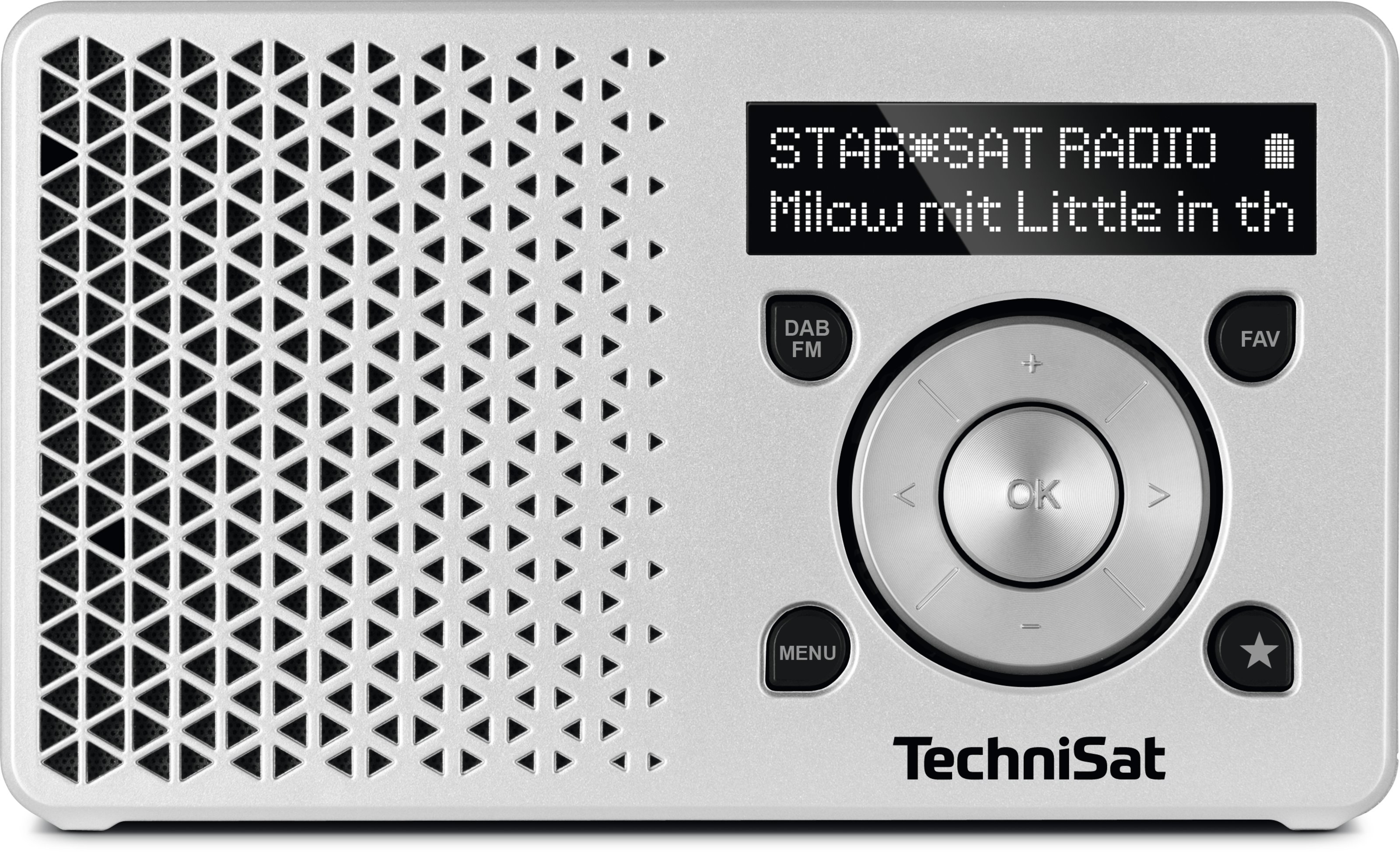 TechniSat DigitRadio 1 Bärbar Digital Silver