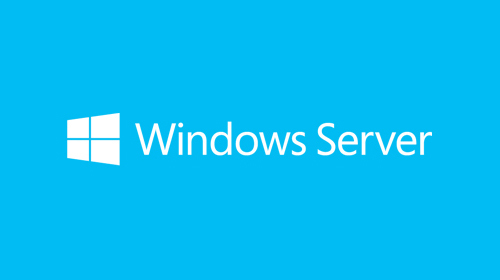 Microsoft Windows Server 2019 Standard 1 licens/-er