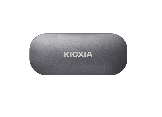 Kioxia EXCERIA PLUS 1000 GB Grå