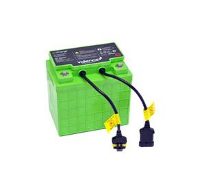 Ergotron SV LiFe Engångsbatteri 12V Litium