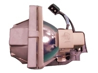 Benq 9E.0C101.011 projektorlampor