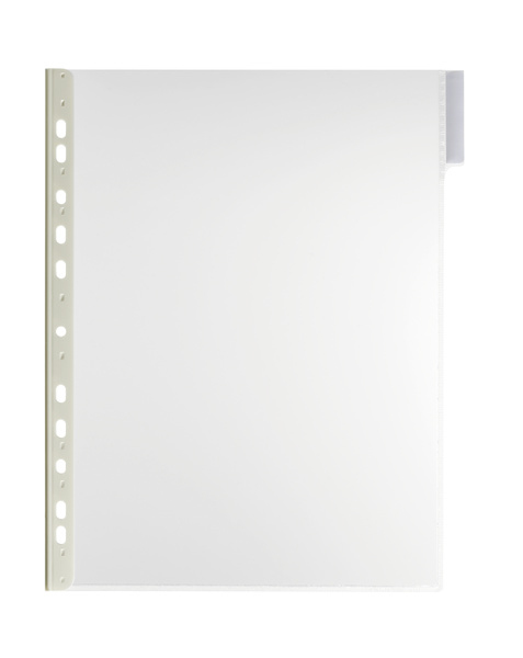 Durable 5607-19 Transparent PVC Displaypanel