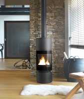 Invicta P610744 cheminée Intérieure Cheminée autonome Bois de chauffage Anthracite