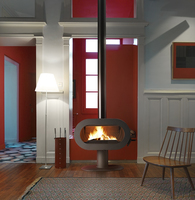 Invicta P648044 cheminée Intérieure Cheminée autonome Bois de chauffage Anthracite