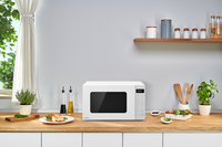 Panasonic PAN NN-K35NW MEPG Mikrowelle Comptoir Micro-ondes uniquement 24 L 900 W Blanc