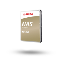 Toshiba N300 3.5&quot; 12 To Série ATA III