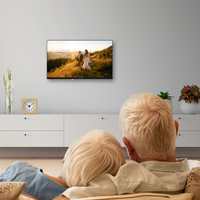 Thomson 24HD2S13 TV 61 cm (24&quot;) HD Noir