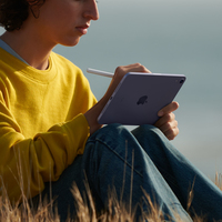 Apple iPad mini 256 Go 21,1 cm (8.3&quot;) Wi-Fi 6 (802.11ax) iPadOS 15 Gris