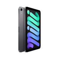 Apple iPad mini 256 Go 21,1 cm (8.3&quot;) Wi-Fi 6 (802.11ax) iPadOS 15 Gris
