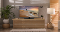 Panasonic TS-24N30AEZ TV 61 cm (24") HD Noir