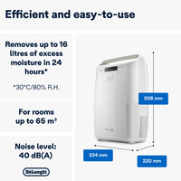 De’Longhi Tasciugo AriaDry Multi DEXD214RF 2,1 L 40 dB 300 W Blanc