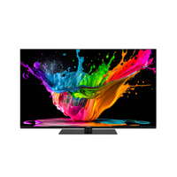 PANASONIC TX48MZ800E