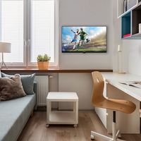 Panasonic TS-24N30AEZ TV 61 cm (24") HD Noir