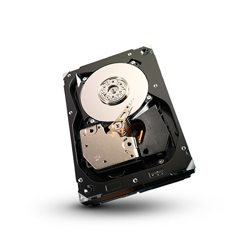 undefined ST3300555SS  