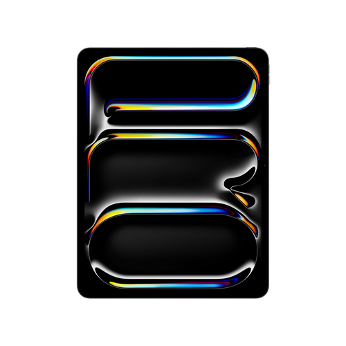 APPLE IPPRO256NOIRW13